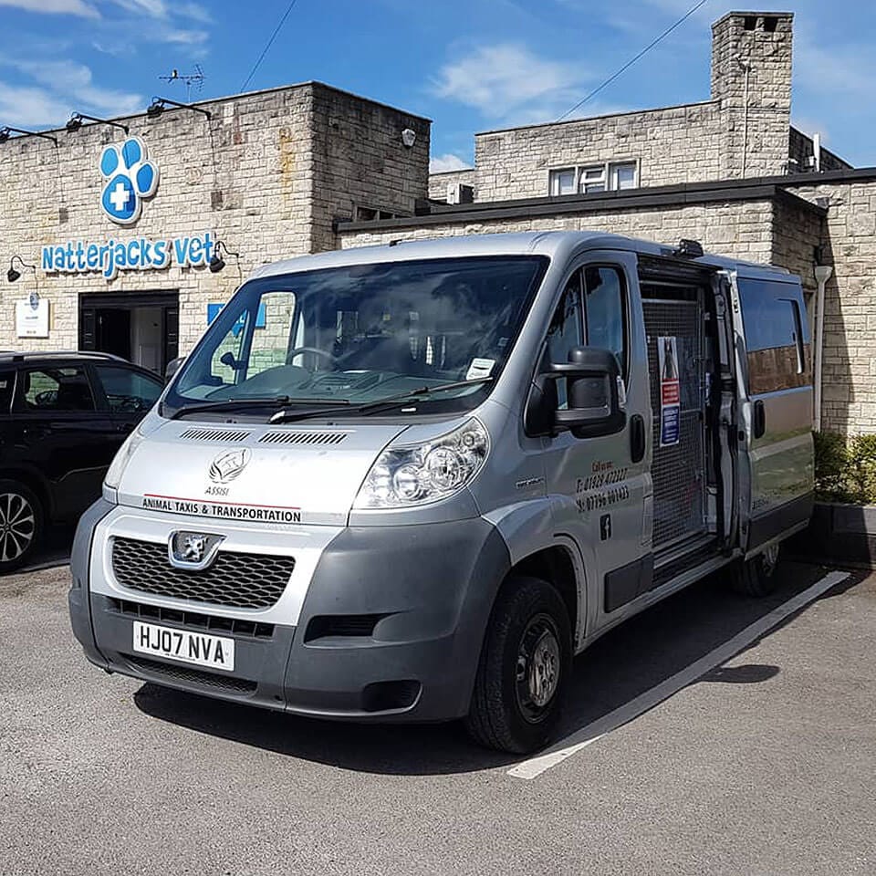 Assisi Animal Transport