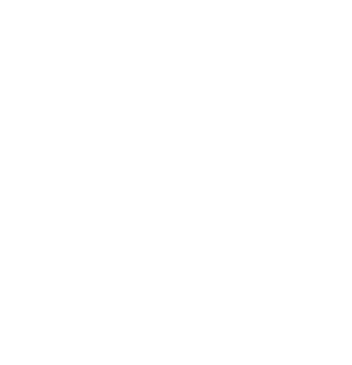 Assisi Dog Training