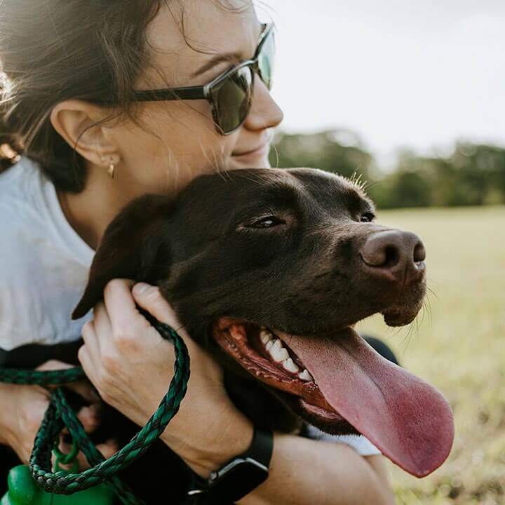 dog-training-13 Sign up for an Assisi Puppy & Dog Membership